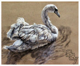 yaegerart004006.jpg