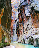 yaegerart007001.jpg
