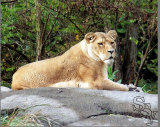 yaegerart007007.jpg