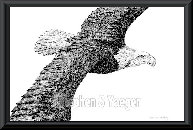 yaegerart003001.jpg