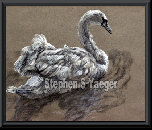 yaegerart003013.jpg