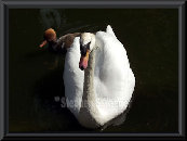 yaegerart006007.jpg
