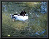 yaegerart006008.jpg