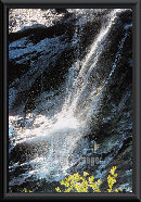 yaegerart007004.jpg